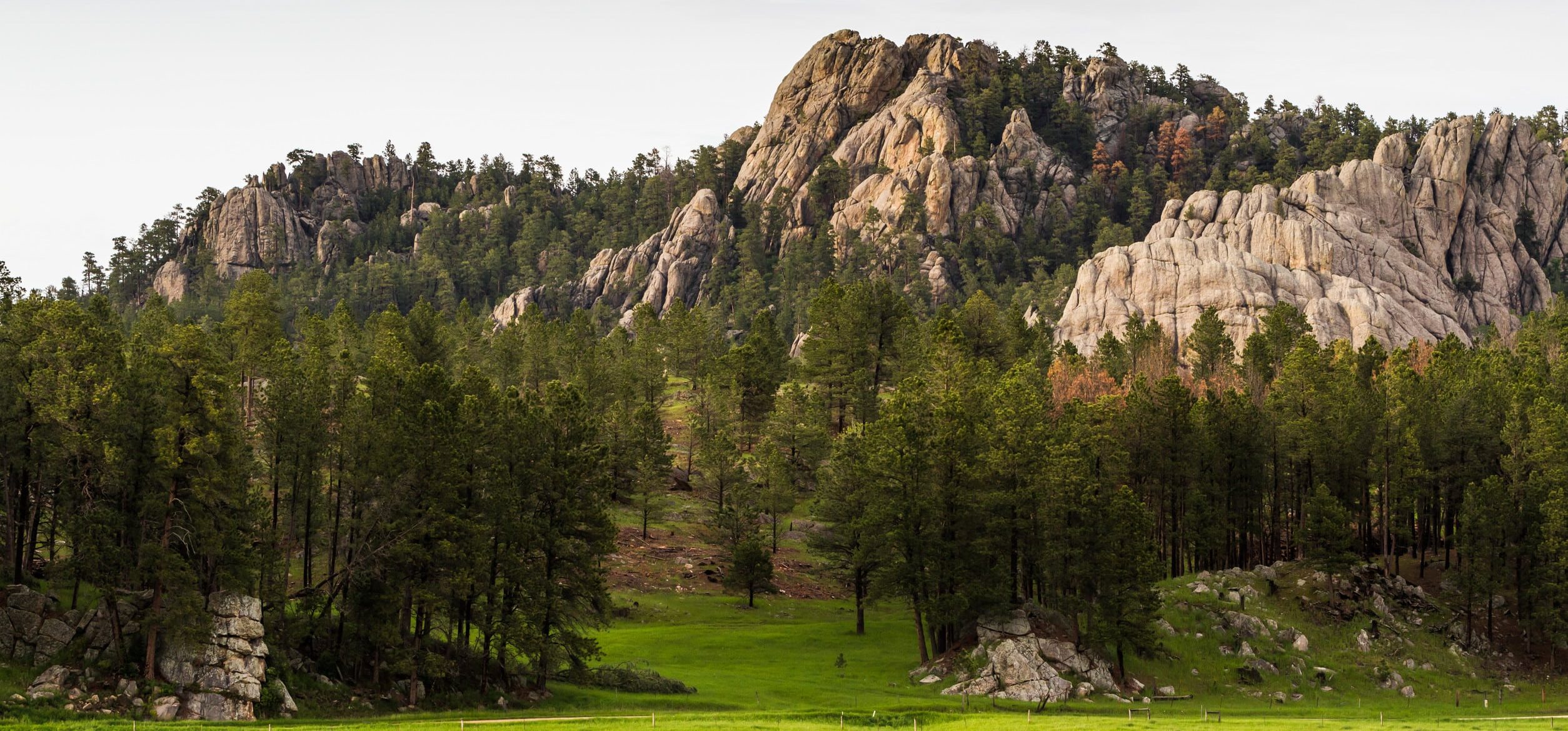 Black Hills South Dakota